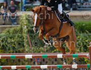 ADDIS ITACA MIA CampITA2013- S5 0941 : ADDIS PIERPAOLO, Campionati Italiani 2013, Cattolica, Horse Riviera Resort, ITACA MIA, foto di Stefano Secchi ©